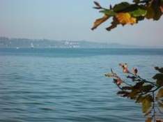 Konstanz und Rollstuhl