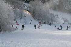 Mono-Ski fahren Österreich